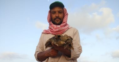السيناوية يحييون موسم صيد الطيور المهاجرة بإجراءات احترازية ضد كورونا