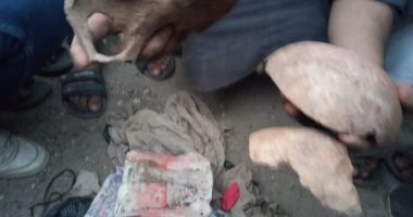 حملات تنظيف مقابر بنى سويف تواصل عملها.. أسحار وأعمال على جمجمة وبقايا عظام بنى آدم وسحر بالربط فى قفل حديدى.. وأصحاب المبادرة: نعمل لوجه الله تعالى ونتمنى مساعدة الأجهزة التنفيذية بالحصول على تصاريح.. صور