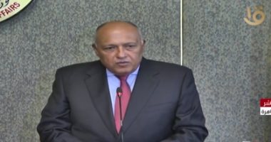 شكرى يتوجه إلى الكويت لتسليم رسالة من الرئيس السيسى إلى الشيخ نواف الأحمد  