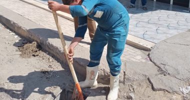 محافظ كفر الشيخ يتعهد بمواصلة الحملات المكثفة على المرافق الحيوية.. صور