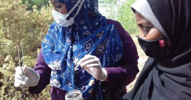 صحة أسوان تواصل جمع القواقع من المجارى المائية وفحصها معمليا