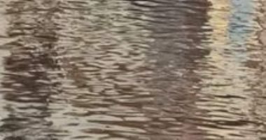 سيبها علينا.. شكوى من غرق قرية الزهايرة فى الدقهلية بمياه الصرف الصحى