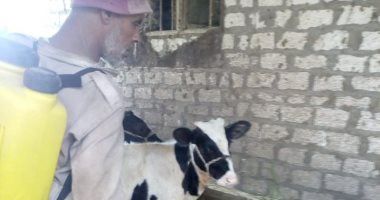 مديرية الطب البيطرى بكفر الشيخ تحصن 30155 طائراً ضد الأمراض الوبائية