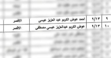 انتخابات النواب في الأقصر صراع أسري.. شقيقان وشاب ووالده وسيدة وزوجها