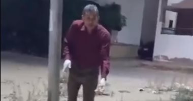 حقيقة فيديوهات تسميم الكلاب الضالة في رأس البر