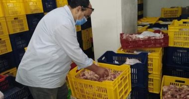 ضبط 21 طن لحوم ودواجن وأسماك غير صالحة للاستهلاك الآدمى فى 25 محافظة .. صور