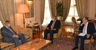 شكرى والمُنسق الأممي الخاص بلبنان يؤكدان ضرورة الاستمرار في دعم لبنان