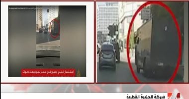 أستاذ إعلام دولى تفضح أكاذيب الجزيرة ضد مصر