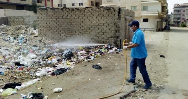 تواصل حملات مكافحة القوارض والذباب بأحياء مدينة العريش .. صور 