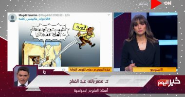 أستاذ علوم سياسية تعليقا على دعوات مظاهرات الإخوان " محدش راح الثورة "