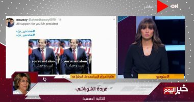 فريدة الشوباشى: الإخوان جماعة مرتزقة يهاجمون مصر من أجل الدولار
