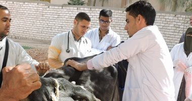 محافظ أسيوط: بدء تنفيذ الحملة القومية لتحصين الماشية ضد الحمى القلاعية 