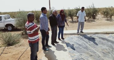 رئيس مدينة نخل بشمال سيناء يتفقد المزرعة النموذجية المتكاملة بـ"الرواق"..صور