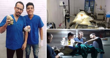 جراحة عاجلة لإزالة رحم "الكلبة مونيكا" ينقذها من مشاكل بالكبد والكلى في بنها