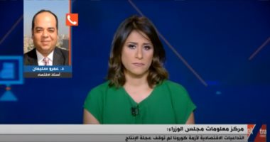 أستاذ اقتصاد يكشف كيف صمد الاقتصاد المصرى رغم تداعيات أزمة كورونا.. فيديو