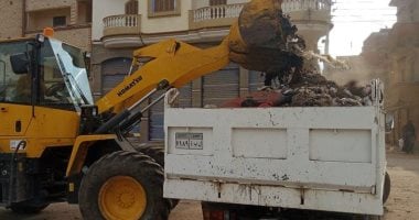 رفع تراكمات القمامة وتحسين الخدمات والمرافق خلال حملة بكفر الشيخ.. صور