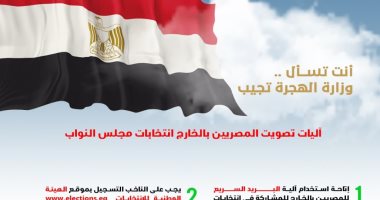 خطوات تصويت المصريين بالخارج بانتخابات مجلس النواب 2020