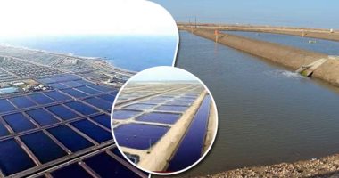  مزرعة غليون.. غيرت حياة الأسر ووفرت الآلاف من فرص العمل بكفر الشيخ.. تحولت من منطقة هجرة غير شرعية لأكبر مدينة سمكية بأفريقيا والشرق الأوسط.. وتضخ ملايين الذريعة سنويًا من أسماك بحرية وجمبرى
