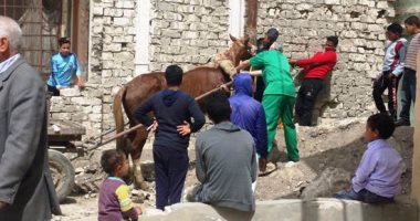 كيف تحولت قرية باب العبيد بغرب الإسكندرية من التهميش إلى التطور؟.. "حياة كريمة" بثت فى القرية الروح.. مبادرات وحملات توعية وتعليم حرف للمواطنين وإنشاء شبكة صرف صحى.. وإطلاق عيادات متنقلة وفصول محو أمية.. صور