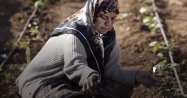الفاو تحذر من تهديد تغير المناخ لمستقبل الغذاء وسبل عيش المزارعين حول العالم