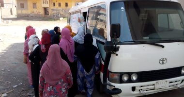 49 ألف سيدة بالشرقية تستفيد من خدمات "حقك تنظمى" بالمرحلة الأولى