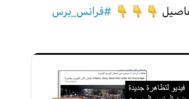 وكالة الأنباء الفرنسية تفضح الإخوان بعد نشرهم فيديو لمظاهرة عمرها 7 سنوات