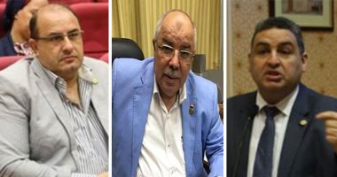 "وعى المصريين صخرة تتحطم عليها أكاذيب الإخوان".. برلمانيون يشيدون بيقظة الشعب المصرى بعد كشف ألاعيب الإرهابية والتصدى لدعوات العنف والتحريض.. وإخوانى سابق يدعو لثورة ثقافية للقضاء على فكر الإرهابية