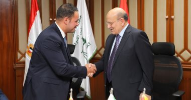"مجلس الدولة" و"مركز المعلومات ودعم اتخاذ القرار" يوقعان بروتوكولاً للتعاون 