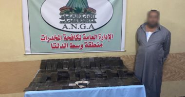 ضبط 200 طربة حشيش بقيمة 1.4 مليون جنيه بالمنوفية