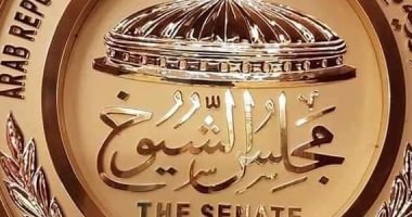  لوجو مجلس الشيوخ يزين قاعة المجلس.. صورة  