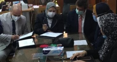 250 مليون جنيه لتنفيذ محطة محولات كهرباء حوش عيسى