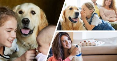 قربه منك هيديك ثقة وأمان.. مربى الحيوانات الأليفة الأكثر حظا أثناء الإغلاق المنزلي بسبب "كورونا".. مبيحسوش بالوحدة ومعندهمش اكتئاب.. ومناعة الأطفال بتبقى أحسن بوجودها.. ويتعلمون المسئولية وتزداد ثقتهم بالنفس