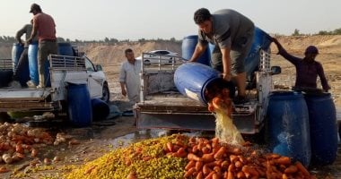 إعدام 2.5 طن أغذية فاسدة وغلق 4 منشآت غذائية غير مرخصة بالشرقية.. صور