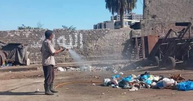 صحة الإسكندرية تكلف 5 فرق لتنفيذ حملة مواجهة القوارض وتستمر لمدة شهر