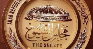 وكيلة الشيوخ تعلن إصدار رئيس المجلس قرارا بتشكيل لجنة إعداد اللائحة
