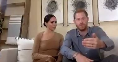 قصص 3 إطارات لأعشاش فى قصر هارى وميجان.. هل أهدتهم لهم أوبرا وينفرى؟