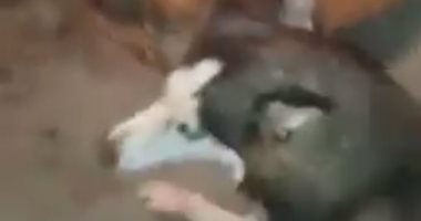 ترويع طفلة بـ كلب شرس فى طنطا يثير غضب السوشيال ميديا.. فيديو وصور