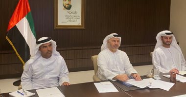 قرقاش: نعمل مع المجتمع الدولى على دعم خارطة طريق سياسية تضمن استقرار ليبيا