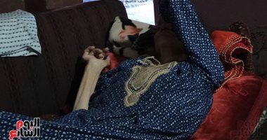 إخلاء سبيل المتهم بحبس والدته في المنزل من سراى النيابة