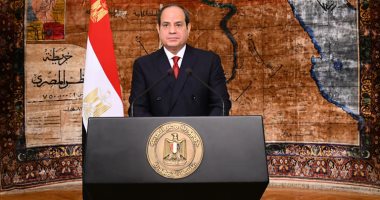 الرئيس السيسى: ما نشهده من تغيرات فى أساليب العمل وآليات الإنتاج تدفعنا للمنافسة