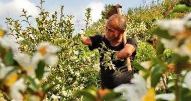 محارب صينى يحقق الثراء من تشجير الجبال القاحلة رغم الإعاقة.. صور