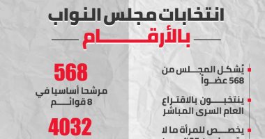 انتخابات مجلس النواب 2020 بالأرقام.. إنفوجراف