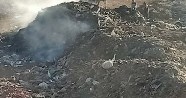 أهالى قرية شبراريس بالبحيرة يشتكون من انتشار القمامة بشارع المقابر