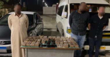 الداخلية تضبط 240 طربة حشيش بقيمة 1.7 مليون جنيه بالسويس