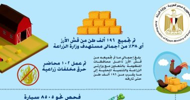 وزارة البيئة تجمع 38% من المستهددف بموسم قش الأرز العام الجارى