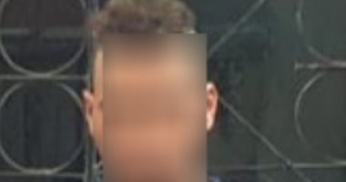 ضبط لص وتاجر مخدرات في حملات أمنية بالدقهلية