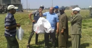 "زراعه الشرقية" تنفذ يوم حصاد لحقل إرشادى مزروع بمحصول الأرز في الإبراهيمية