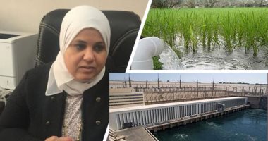 انطلاق أسبوع القاهرة للمياه 18 أكتوبر.. المؤتمر يقام تحت شعار "الأمن المائى من أجل السلام والتنمية فى المناطق القاحلة".. أكثر من 25 جلسة عبر تقنيات التواصل عن بُعد لبحث مجابهة تحديات الندرة ومتطلبات النمو