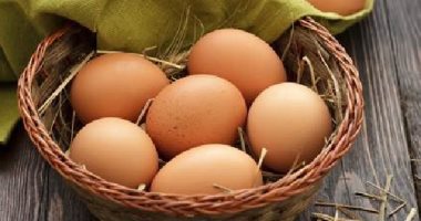 أخبار 24 ساعة.. "الزراعة": توفير أطباق البيض بأقل من 50 جنيها خلال أيام