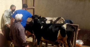 قافلة بيطرية فى كفر سعد بدمياط والكسف والعلاج بالمجان.. صور